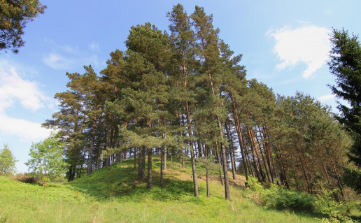 Au-yn+ piliakalnis.jpg